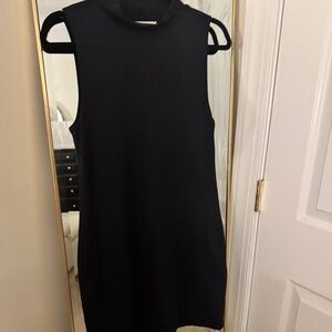 Aritzia Bodycon Dress